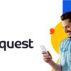 Sites Like NiceQuest + Alternatives + Competitors