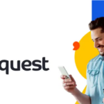 Sites Like NiceQuest + Alternatives + Competitors